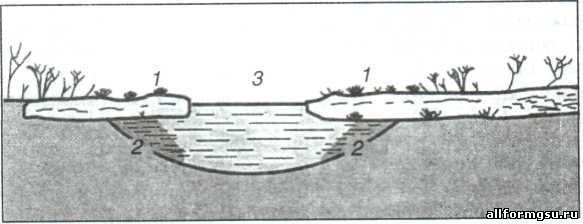 Схема зарастания озера по А.Д. Потапову